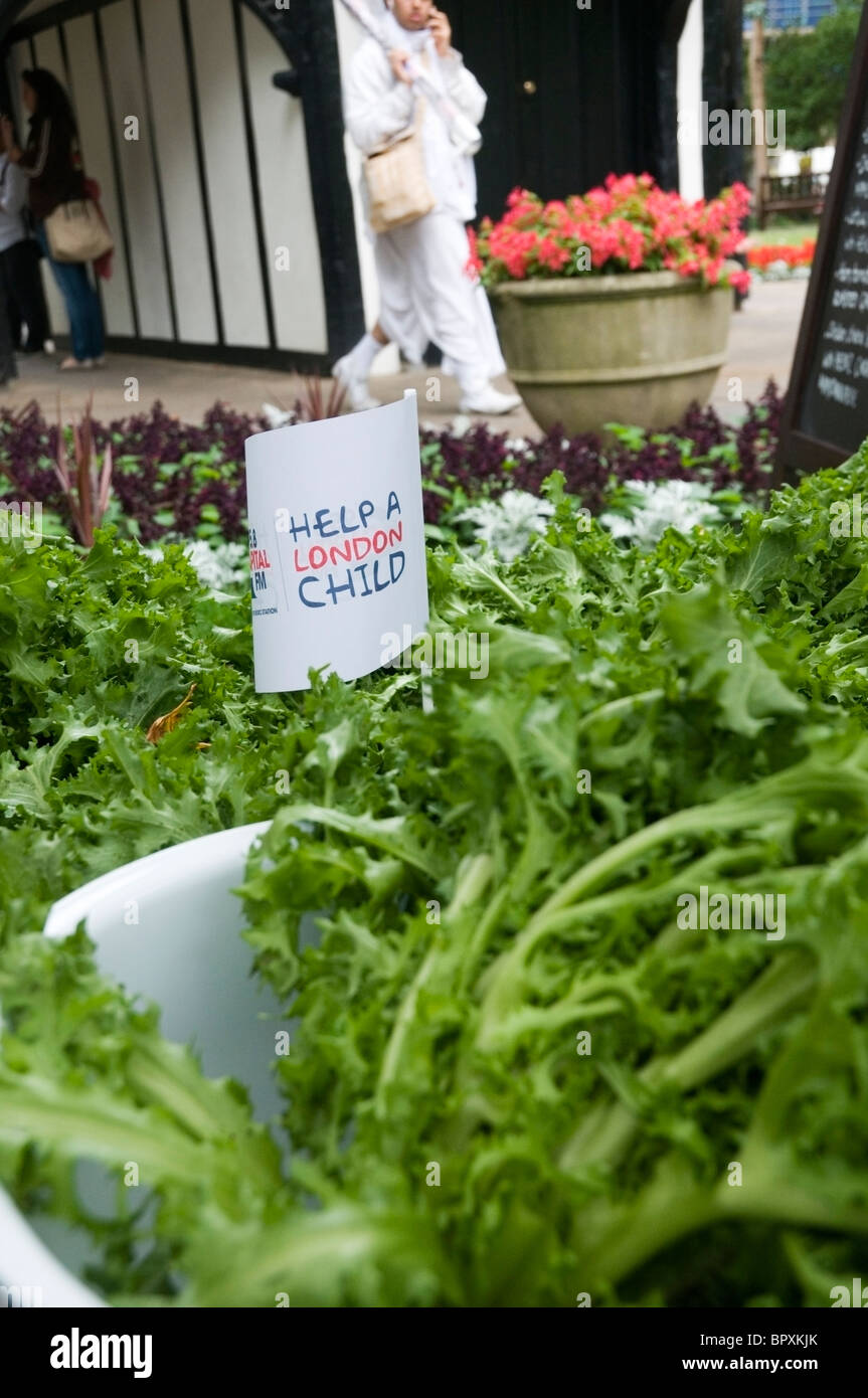 Nahaufnahme der Zeichen "Hilfe ein London-Kind" in Mitte der Salat auf dem Fundraising, Soho Square, West End, London, England, UK, EU Stockfoto