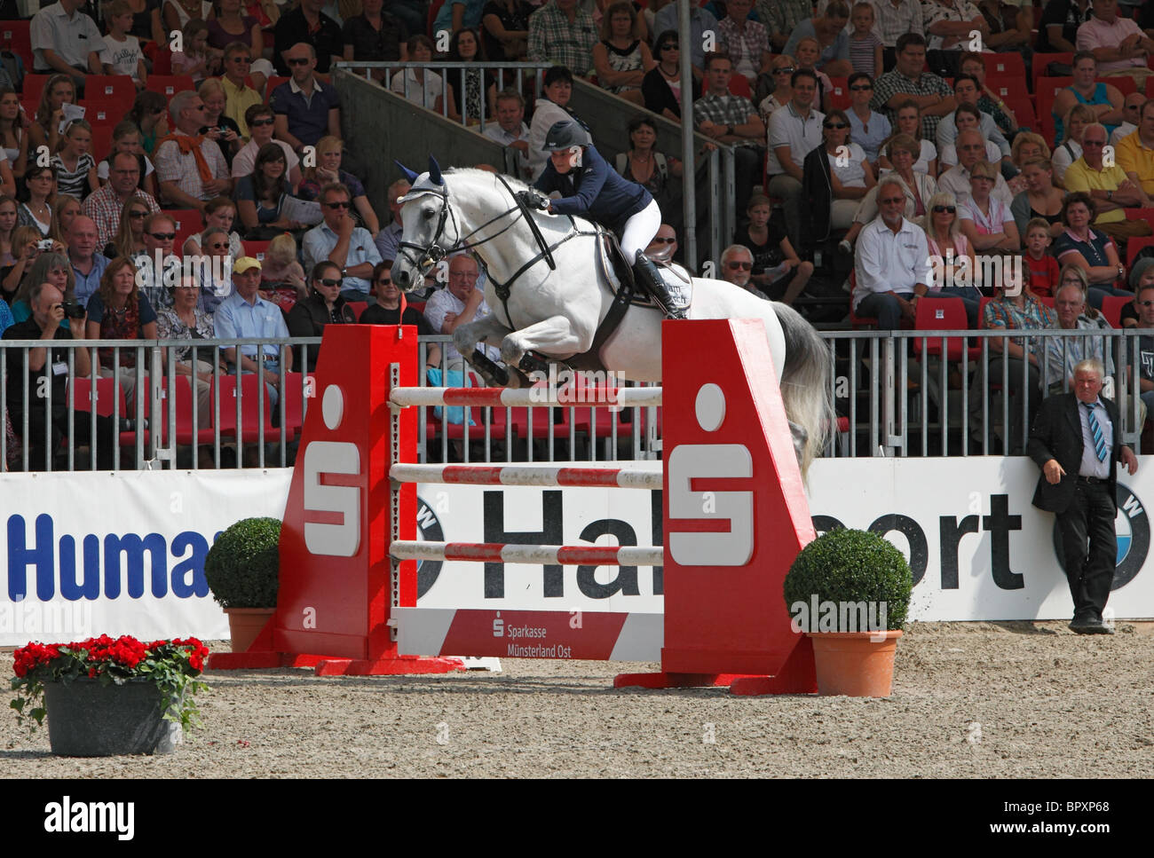 Pferdesport, Deutsche Meisterschaften springen und Dressur 2010 in Münster, Münsterland, Nordrhein-Westfalen, Deutsche Meisterschaft Springreiter Reiterinnen, Rebecca Golasch mit Lassen Peak 2 Stockfoto