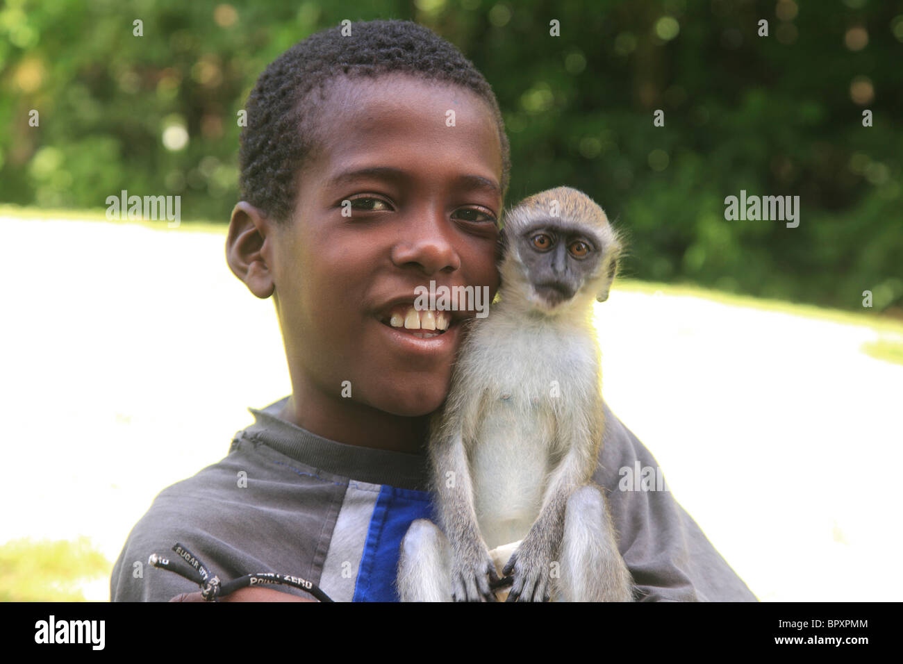 Kleiner Junge mit einem Haustier Affen in St. Kitts, Karibik Inseln über dem Winde Stockfoto