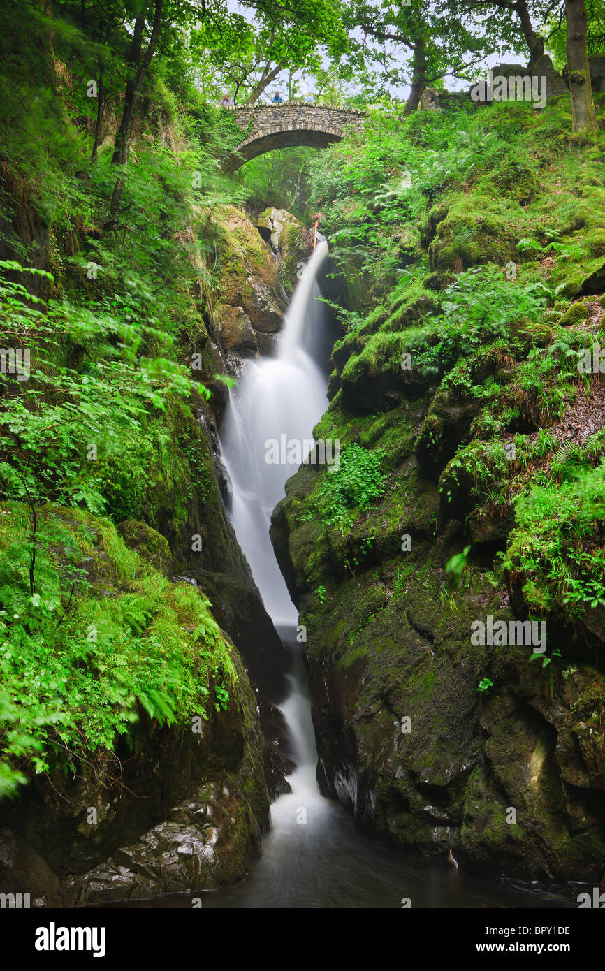 Aira Falls, Lake District, England Stockfoto