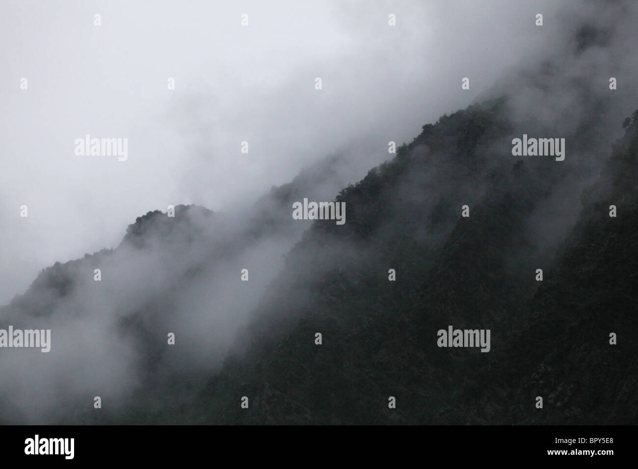 Steigender Nebel aus niedrigen Bäumen Gewitterwolke und Starkregen in der Nähe von Alins in Andorra Vall Ferrera Tal Grenze Pyrenäen Spanien Stockfoto