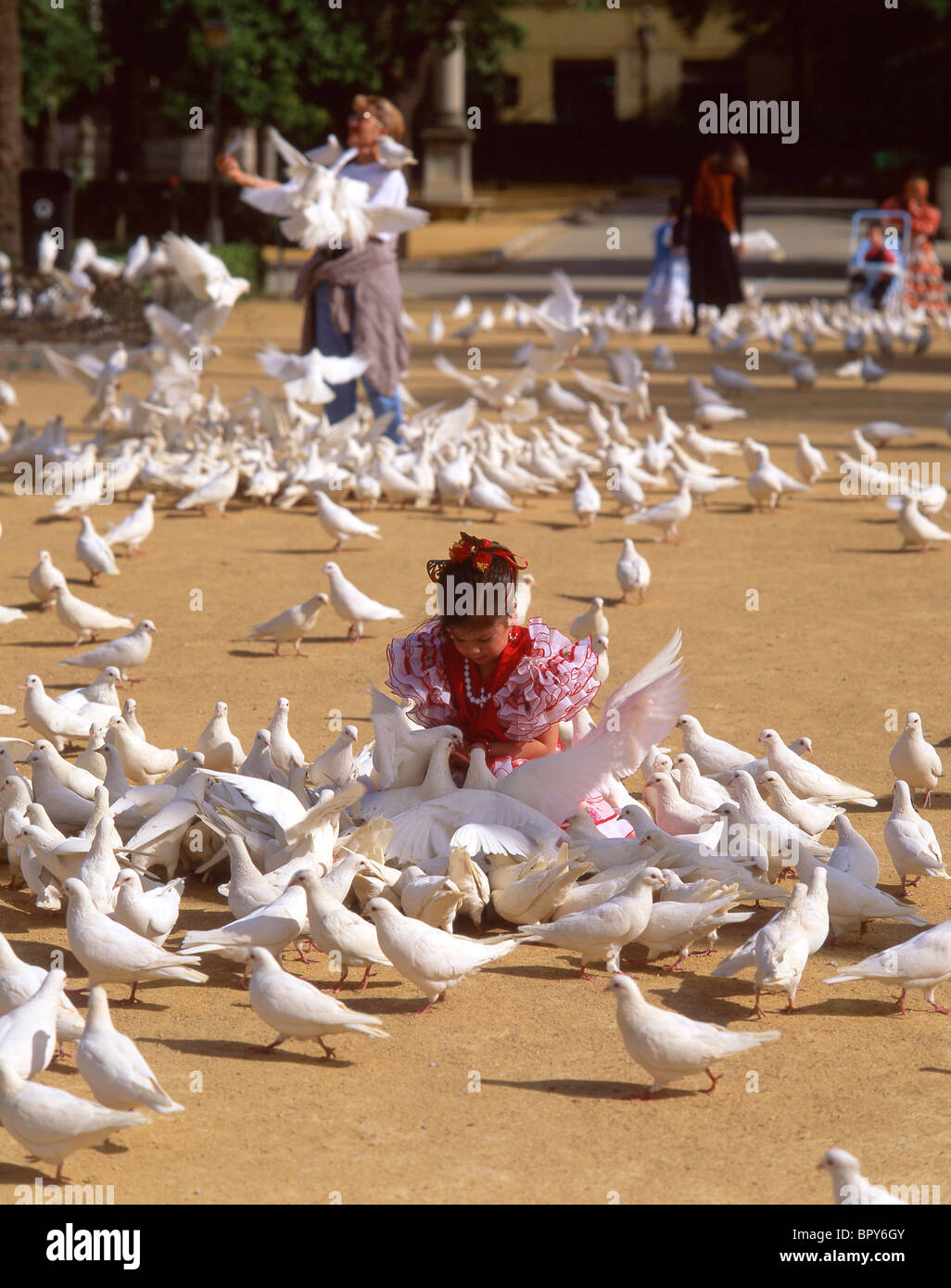 Kind mit weißen Tauben, Maria Luisa Park, Sevilla, Provinz Sevilla, Andalusien, Spanien Stockfoto