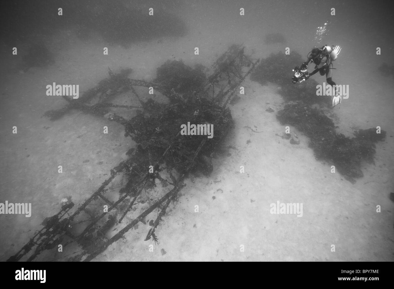 Wrack der Sikorsky S-38 einst im Besitz von Herbert Johnson von S C Johnson, Manokwari, West-Papua, Indonesien. Stockfoto