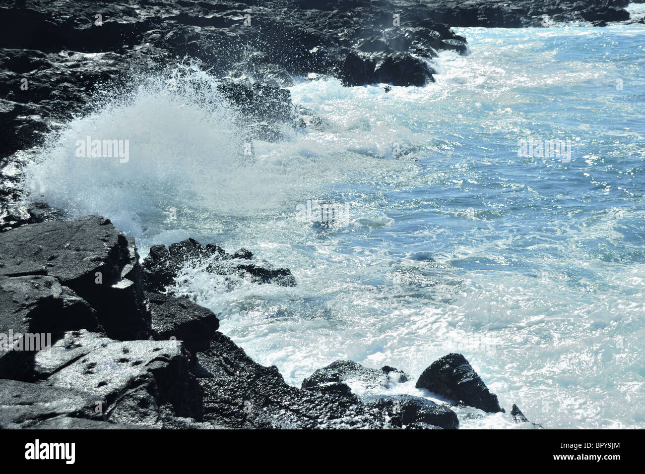 Klippen und Seaspray, Punta Suarez, Espanola, Galapagos-Inseln, Ecuador Stockfoto