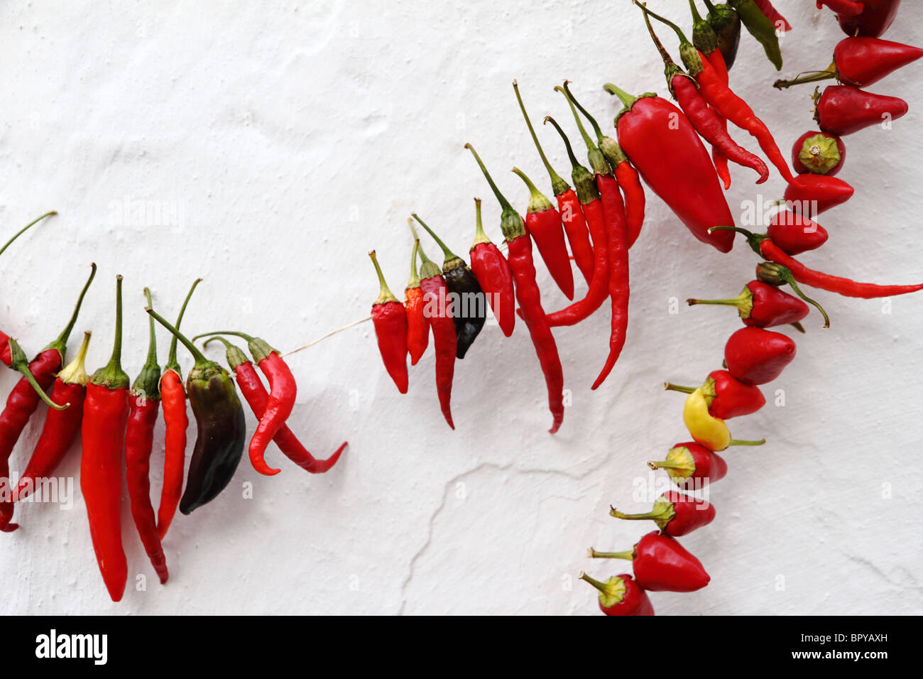 Rote Chilis trocknen an weiß getünchten Wand, Kas, Türkei Stockfoto