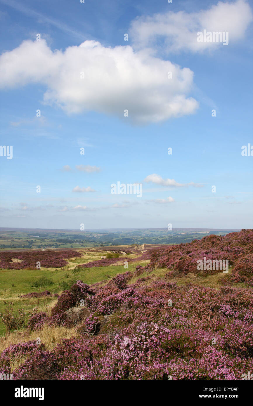 Die North Yorkshire Moors, England, Großbritannien Stockfoto