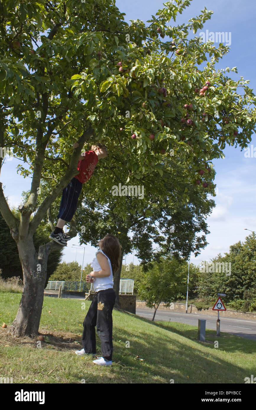 Ein Kind beobachtet, wie ein zweites Kind in einem Apfelbaum wächst in der Nähe einer Straße steigt Stockfoto
