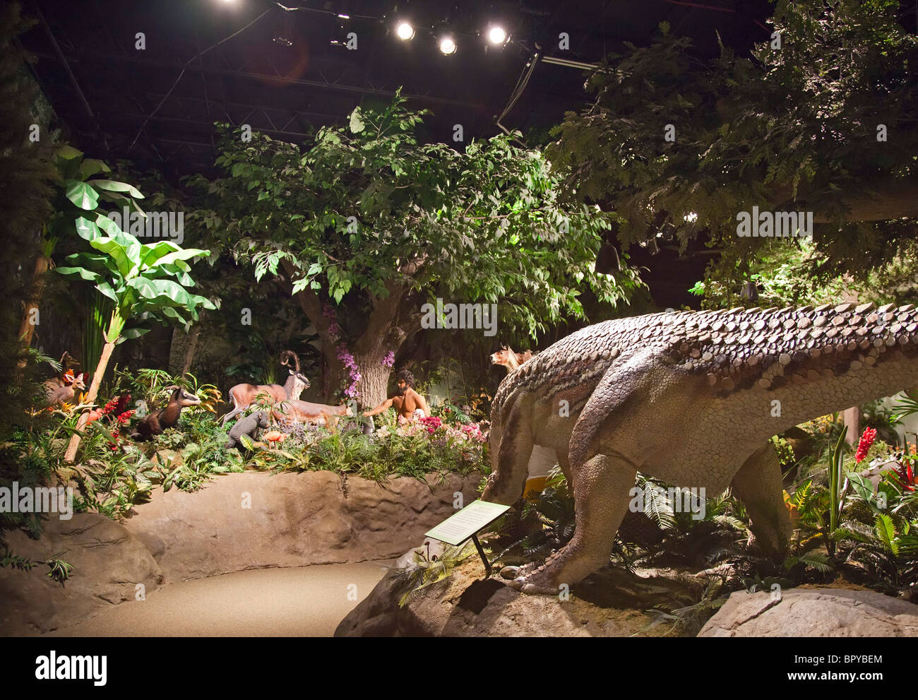 Creation Museum Stockfoto