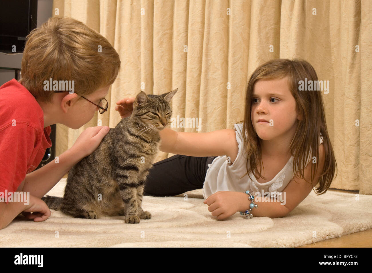 Zwei Kinder zu Hause spielen mit ihrem Haustier Katze Stockfoto
