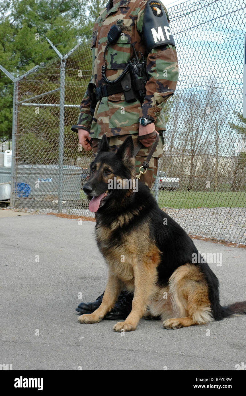 Randy Cottner mit Drogen & Angriff Hund "Brit" bei ft. Campbell Tennessee/Kentucky Stockfoto