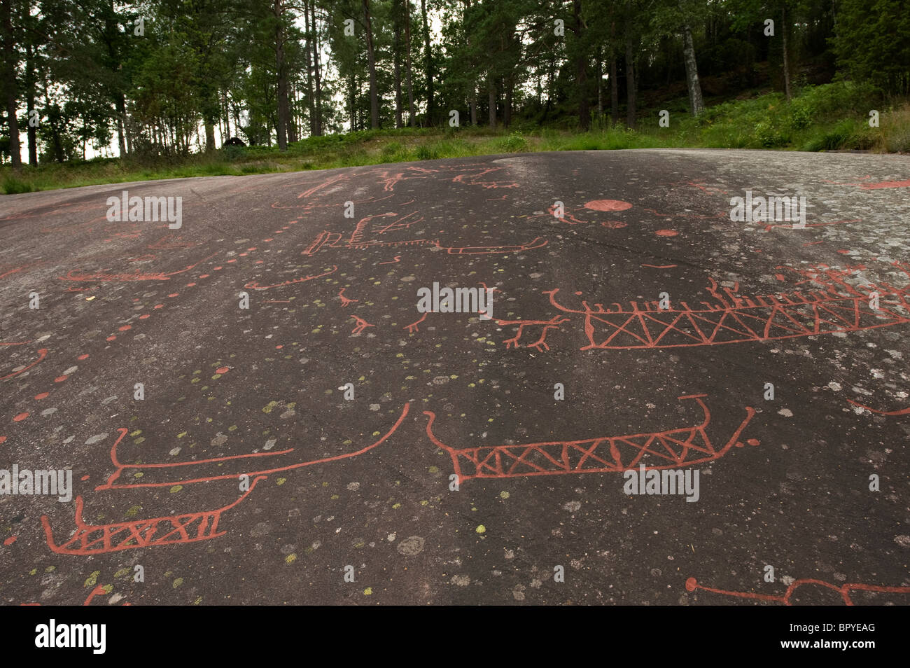 Petroglyphen (Felsritzungen) Stockfoto