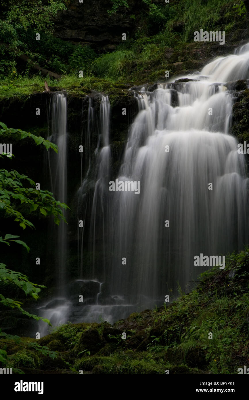 Scarbelforce Yorkshire Stockfoto