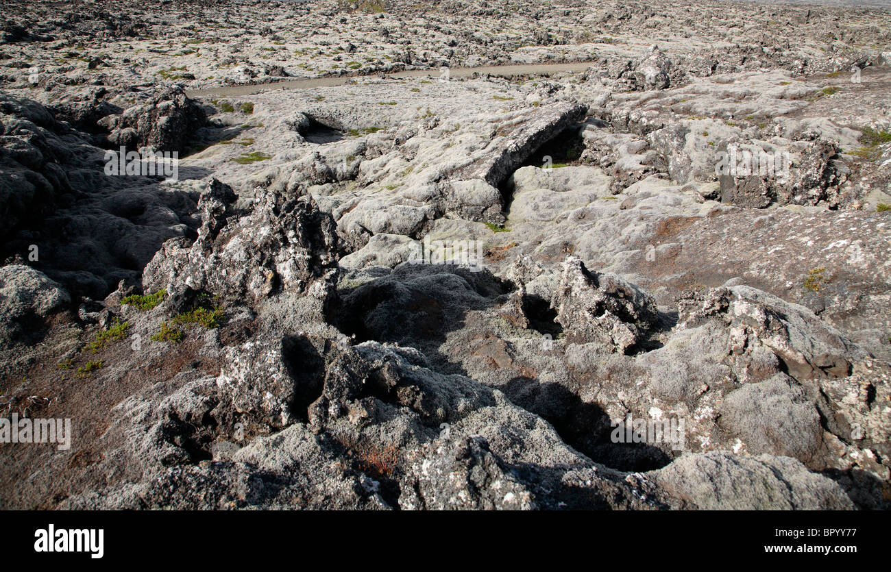 Island-vulkanischer Lava-Landschaft Stockfoto