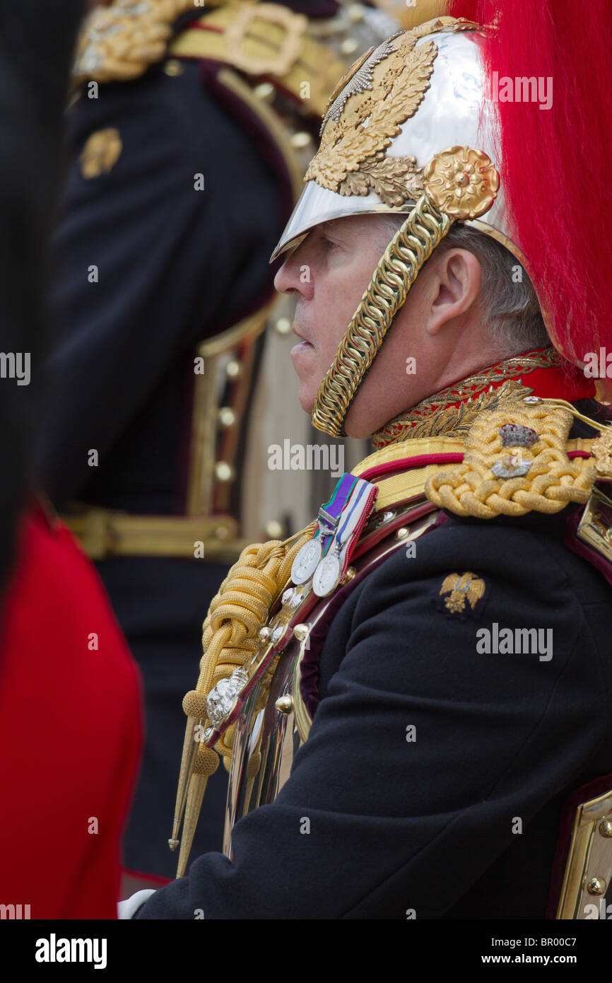 Oberst T W Browne hautnah. "Trooping die Farbe" 2010 Stockfoto