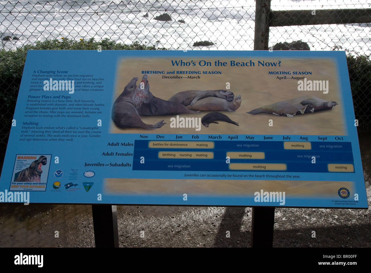 Schild mit Informationen zum Lebenszyklus von Elefantensiegeln Piedras Blancas Stockfoto