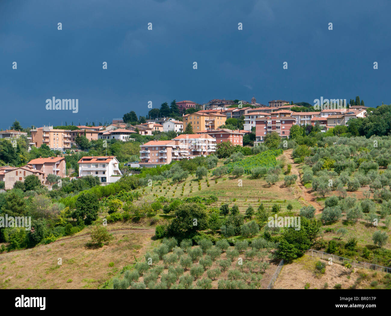 Gewitterwolken über einer Kulturlandschaft mit Olivenbäumen in Montaione in der Toskana / Italien. Stockfoto