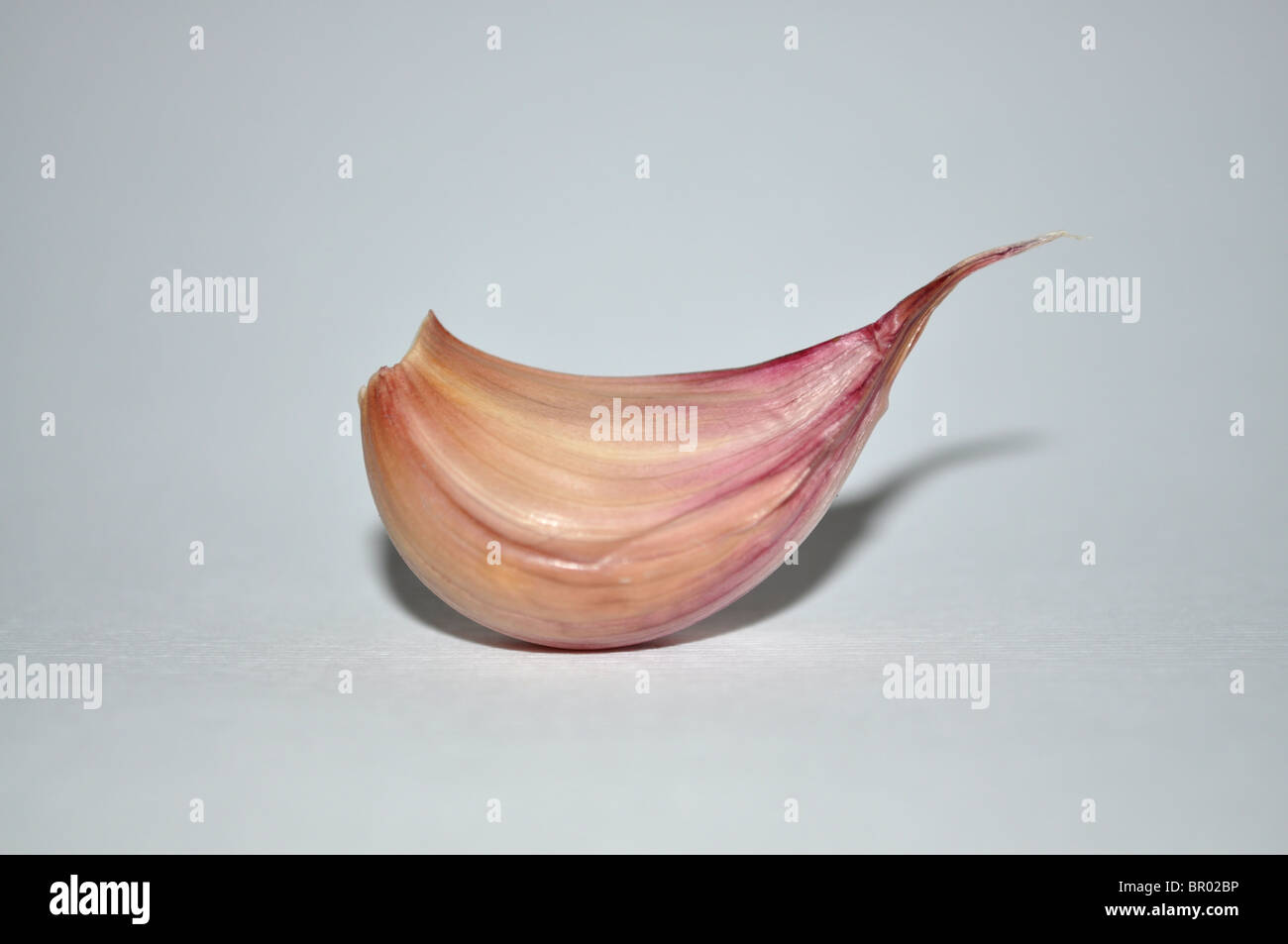 Knoblauchzehe Stockfoto