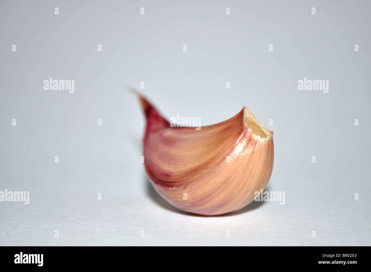 Knoblauchzehe Stockfoto