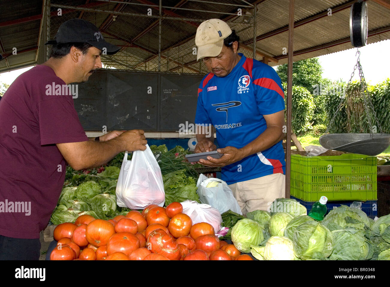 Im freien Markt an Venecia, Costa Rica. Stockfoto