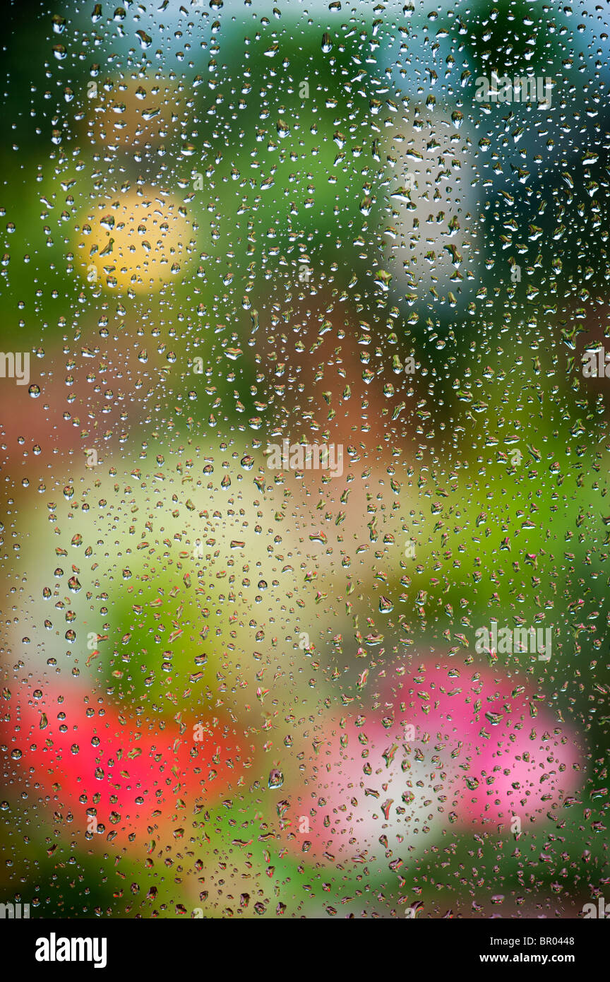 Regentropfen auf der Fensterscheibe vor einem farbenfrohen Garten Stockfoto