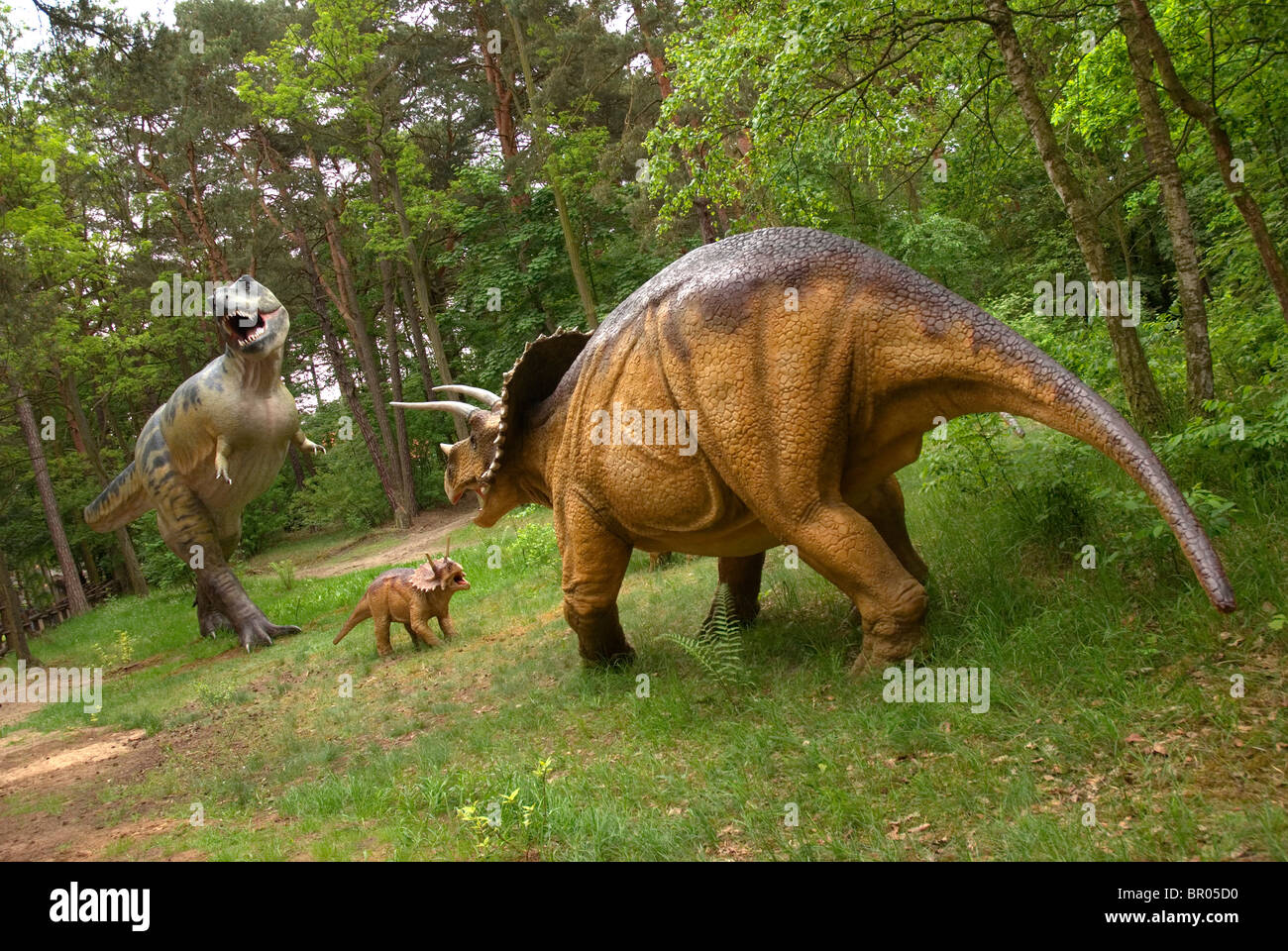 Dinosaurier Stockfoto