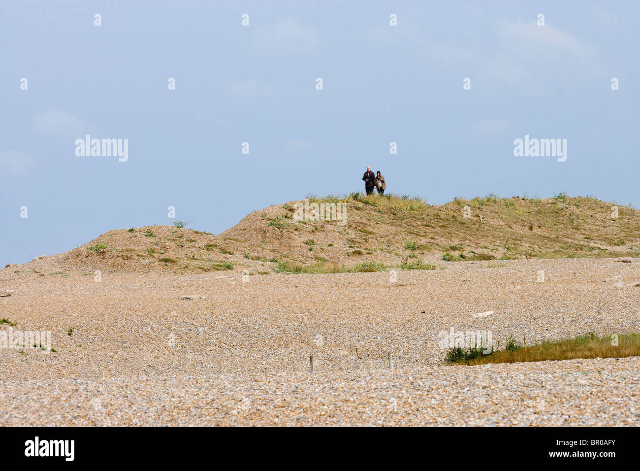 Schindel-Bank. Nordgrenze in Norfolk Wildlife Trust älteste Rücklage bilden. Cley. North Norfolk. Stockfoto