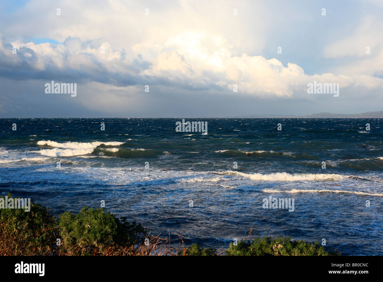 Windsturm Stockfoto