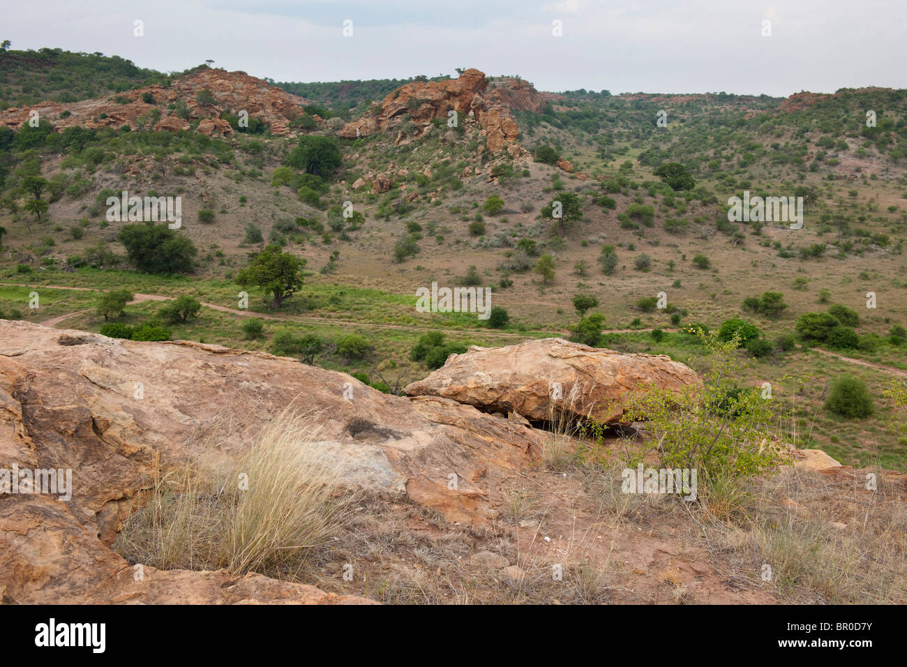 Blick vom Mapungubwe Hill, Mapungubwe National Park, Südafrika Stockfoto