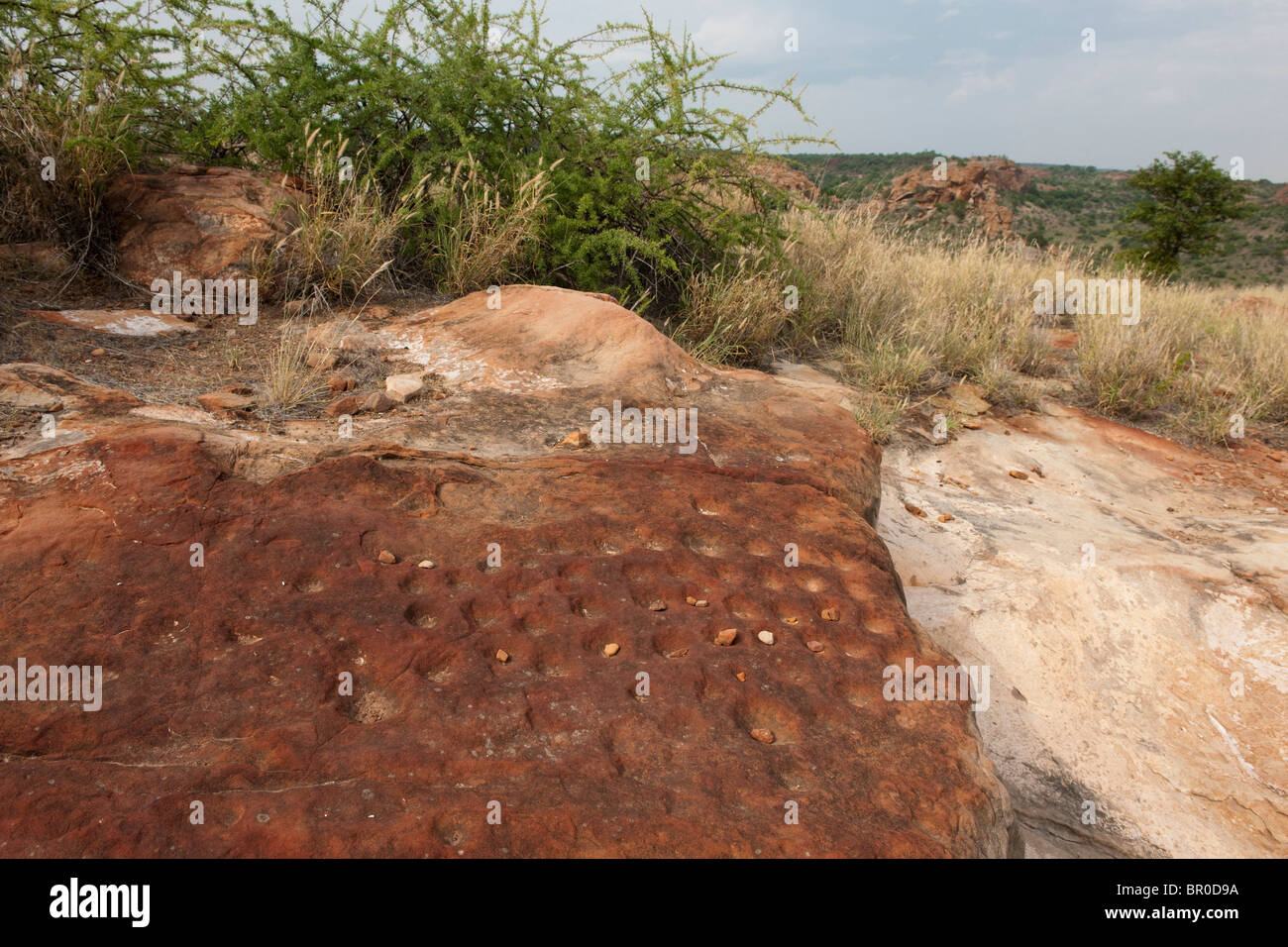 Bao-Spiel gefunden auf Mapungubwe Hügel, archäologische Stätte, Mapungubwe National Park, Südafrika Stockfoto