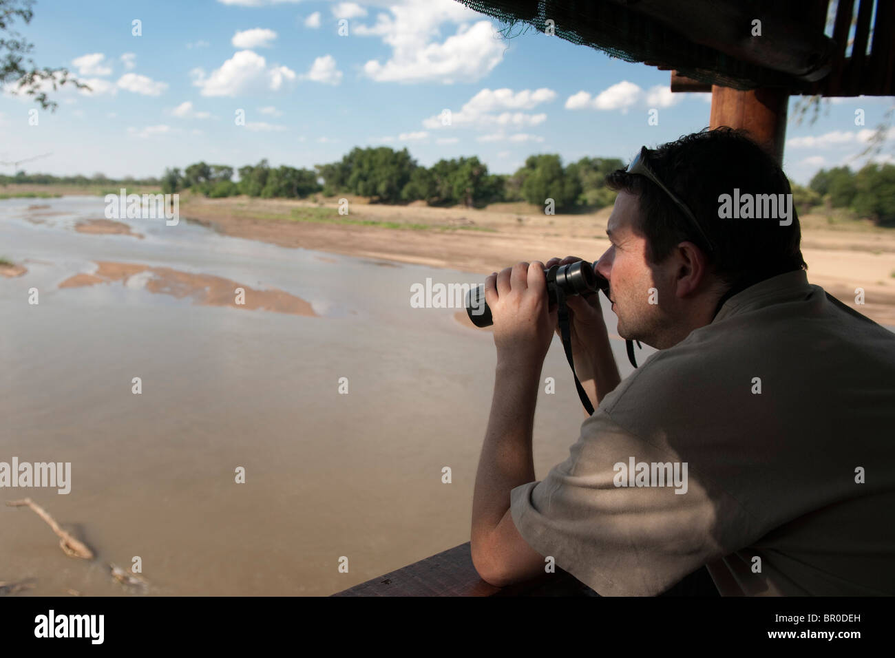 Vogel verstecken am Ufer des Flusses Limpopo, Mapungubwe National Park, Südafrika Stockfoto