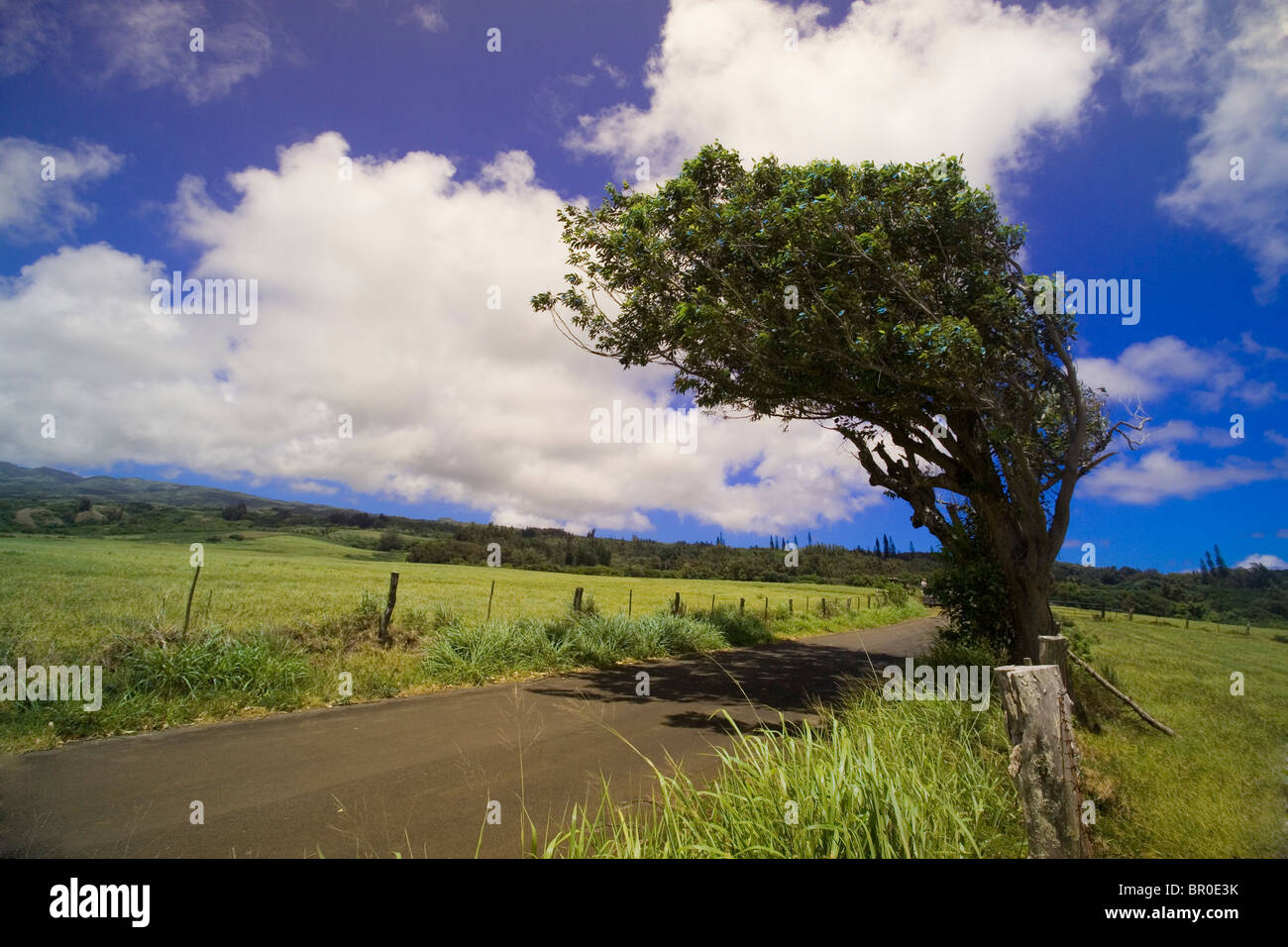 Ein Blick auf dem Kamehameha Highway auf der Pazifik-Insel Molokai, Hawaii. Stockfoto