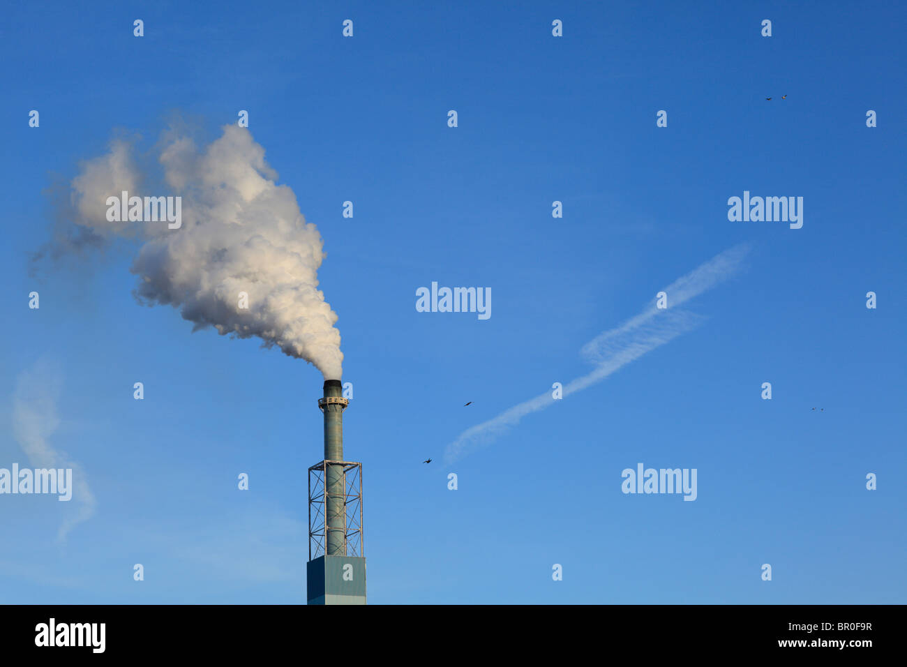 Eine industrielle Stack Rauchschwaden in die Luft. Stockfoto