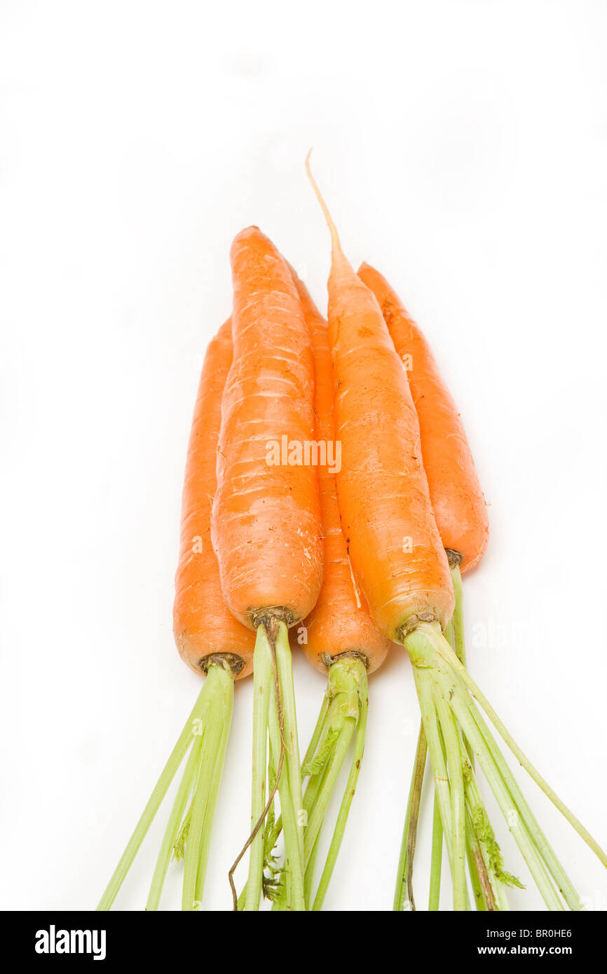 Frische Karotten. Stockfoto