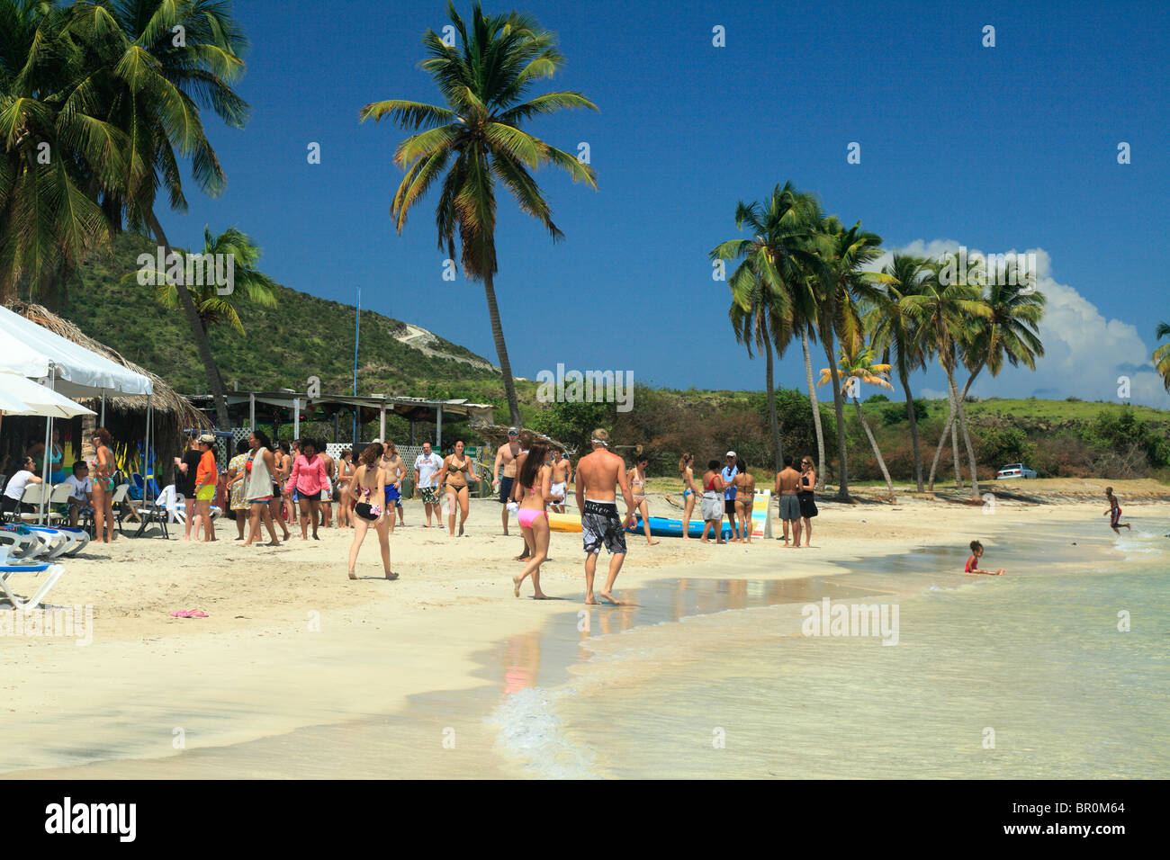Kleine Muschel Bay und Turtle Beach Bereich in St. Kitts, Karibik Stockfoto