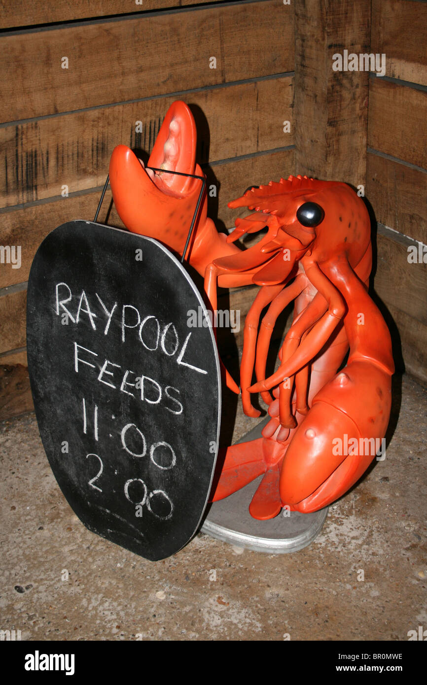 Kunststoff rot Hummer Skulptur Werbung Aquarium Ray Pool Feeds Stockfoto