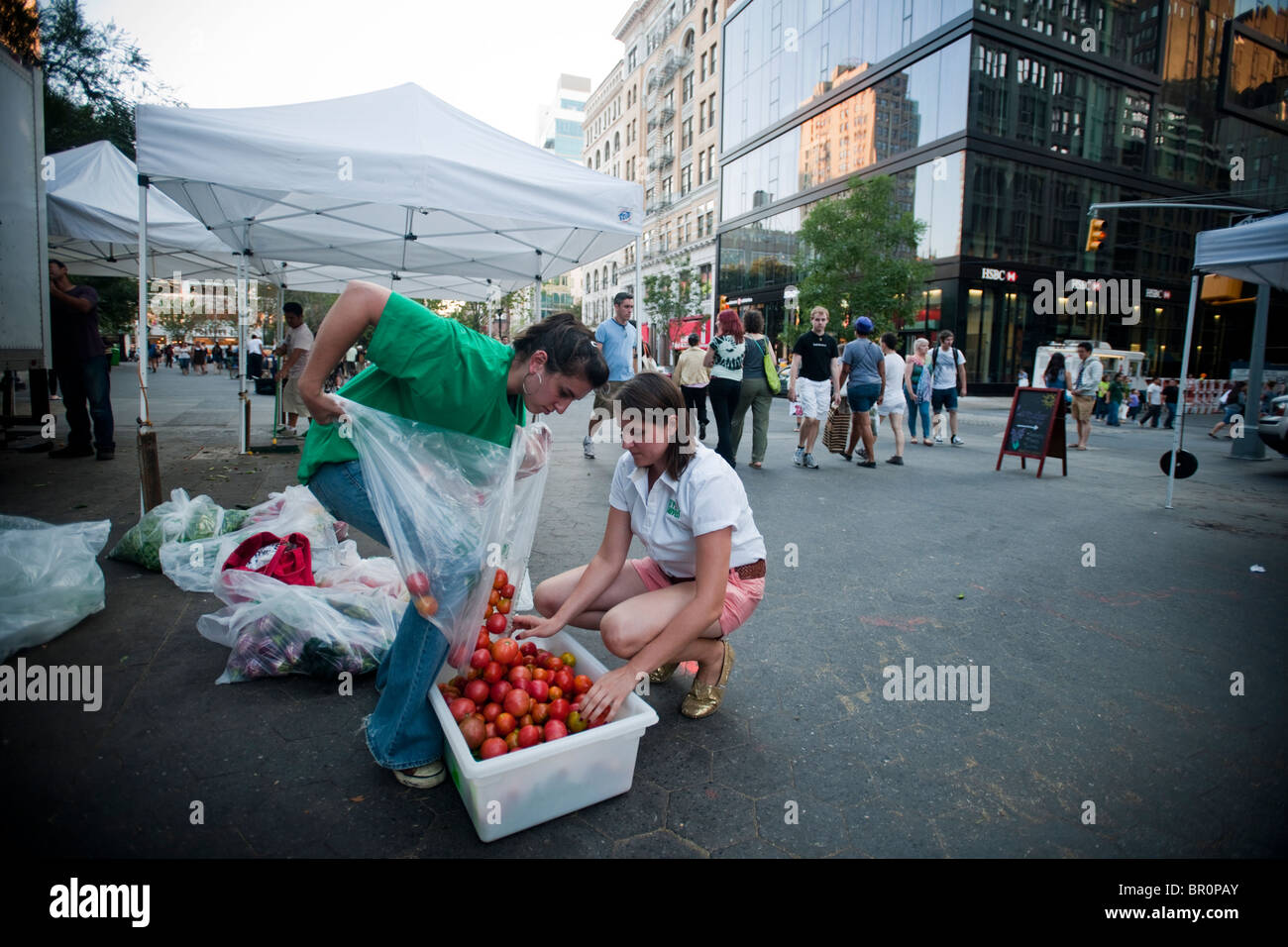 Freiwillige sammeln gespendeten Produkte vom Union Square Park Greenmarket in New York für die Auslieferung an Programme Dienst an den Armen Stockfoto