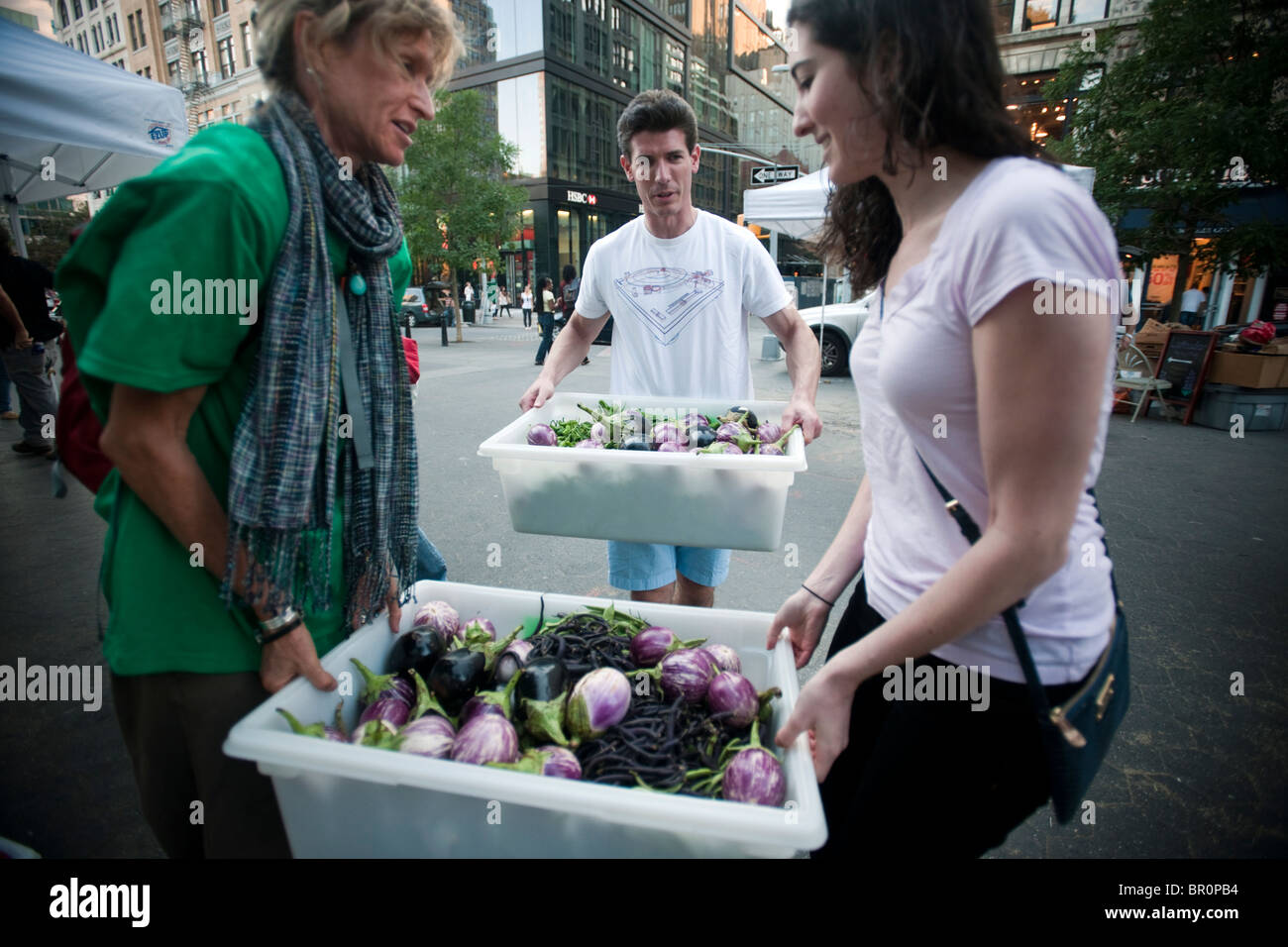 Freiwillige sammeln gespendeten Produkte vom Union Square Park Greenmarket in New York für die Auslieferung an Programme Dienst an den Armen Stockfoto