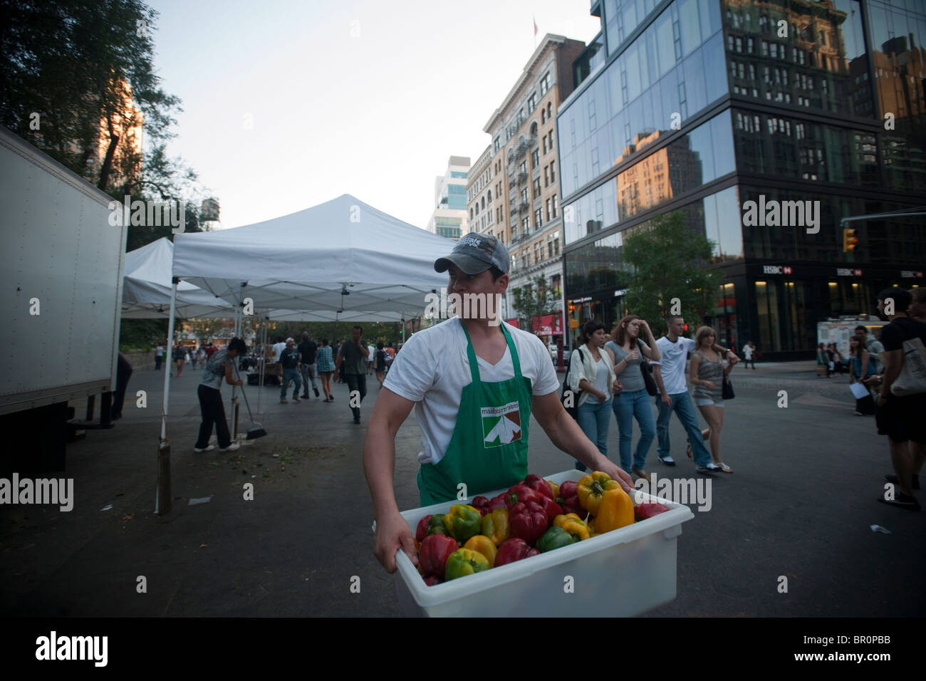 Freiwillige sammeln gespendeten Produkte vom Union Square Park Greenmarket in New York für die Auslieferung an Programme Dienst an den Armen Stockfoto