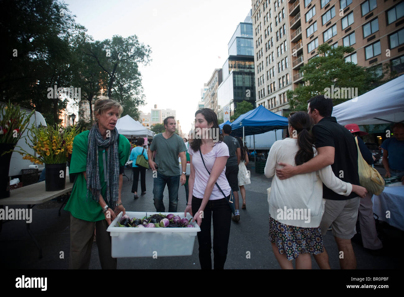 Freiwillige sammeln gespendeten Produkte vom Union Square Park Greenmarket in New York für die Auslieferung an Programme Dienst an den Armen Stockfoto