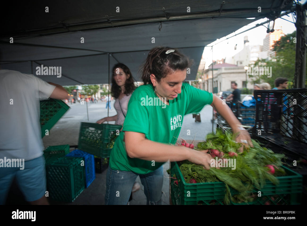 Freiwillige sammeln gespendeten Produkte vom Union Square Park Greenmarket in New York für die Auslieferung an Programme Dienst an den Armen Stockfoto
