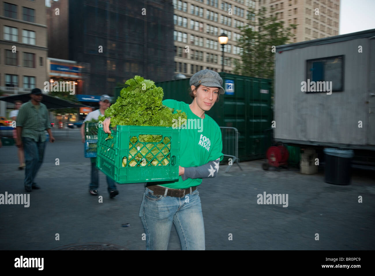 Freiwillige sammeln gespendeten Produkte vom Union Square Park Greenmarket in New York für die Auslieferung an Programme Dienst an den Armen Stockfoto