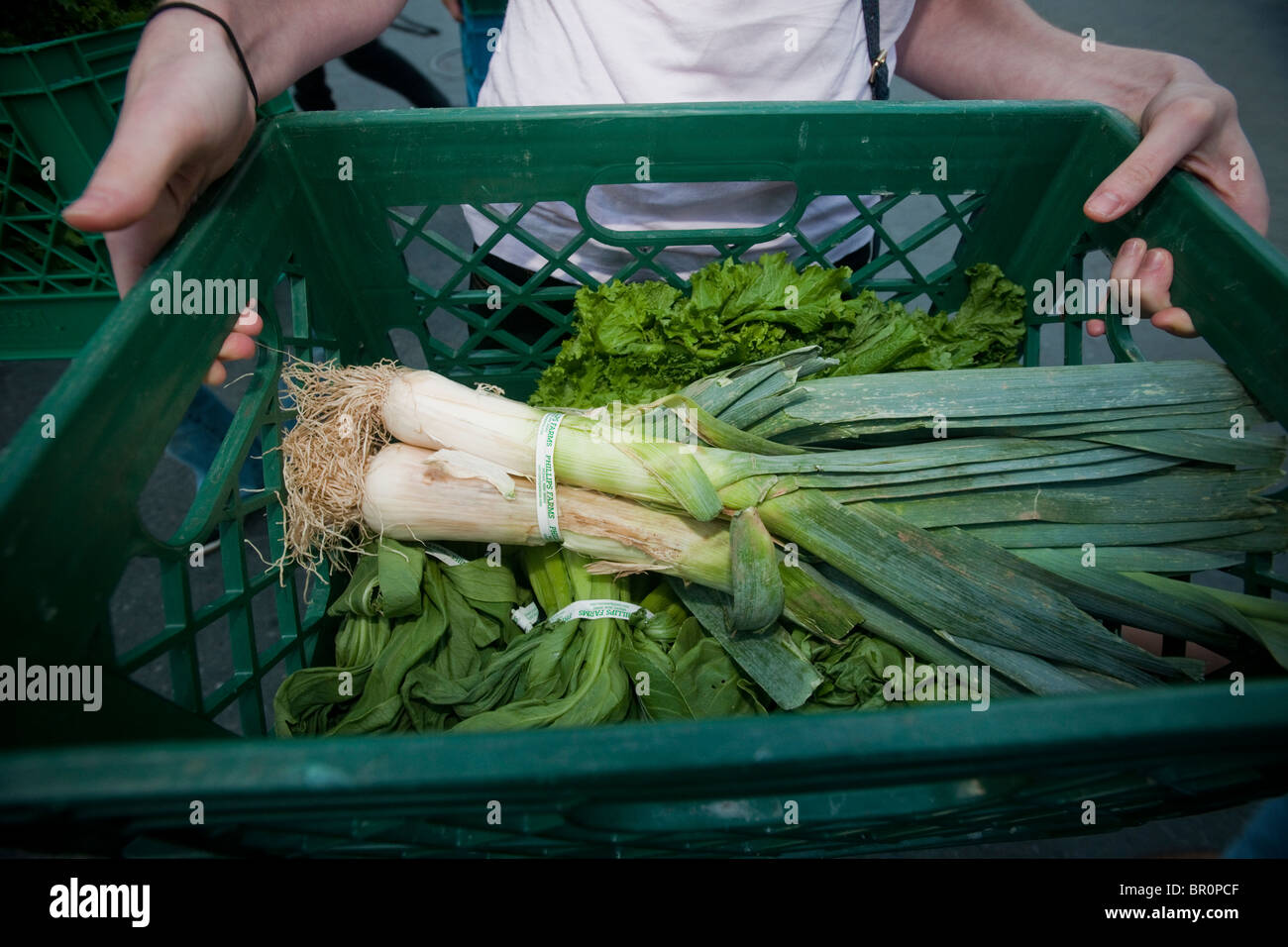 Freiwillige sammeln gespendeten Produkte vom Union Square Park Greenmarket in New York für die Auslieferung an Programme Dienst an den Armen Stockfoto