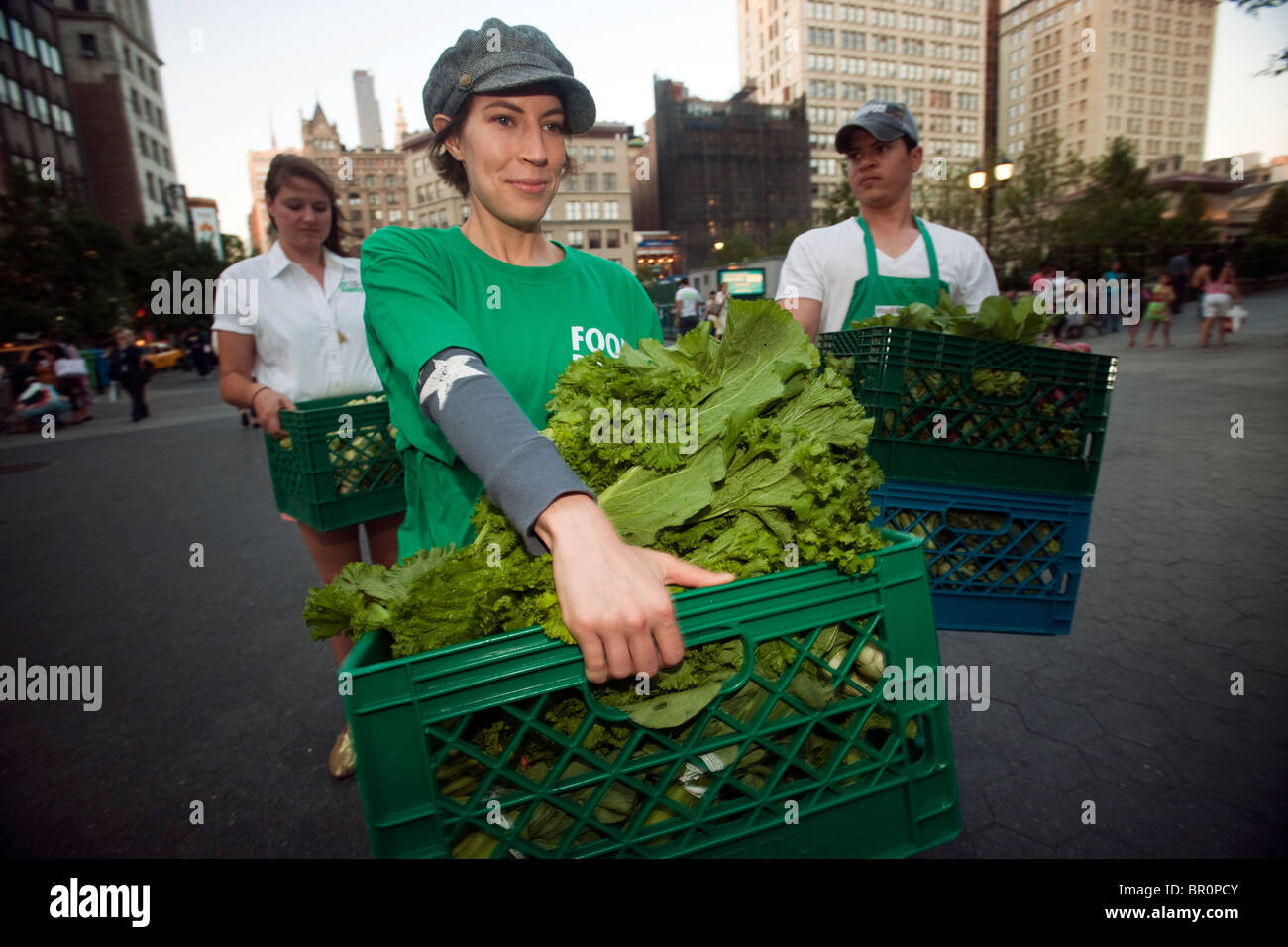Freiwillige sammeln gespendeten Produkte vom Union Square Park Greenmarket in New York für die Auslieferung an Programme Dienst an den Armen Stockfoto
