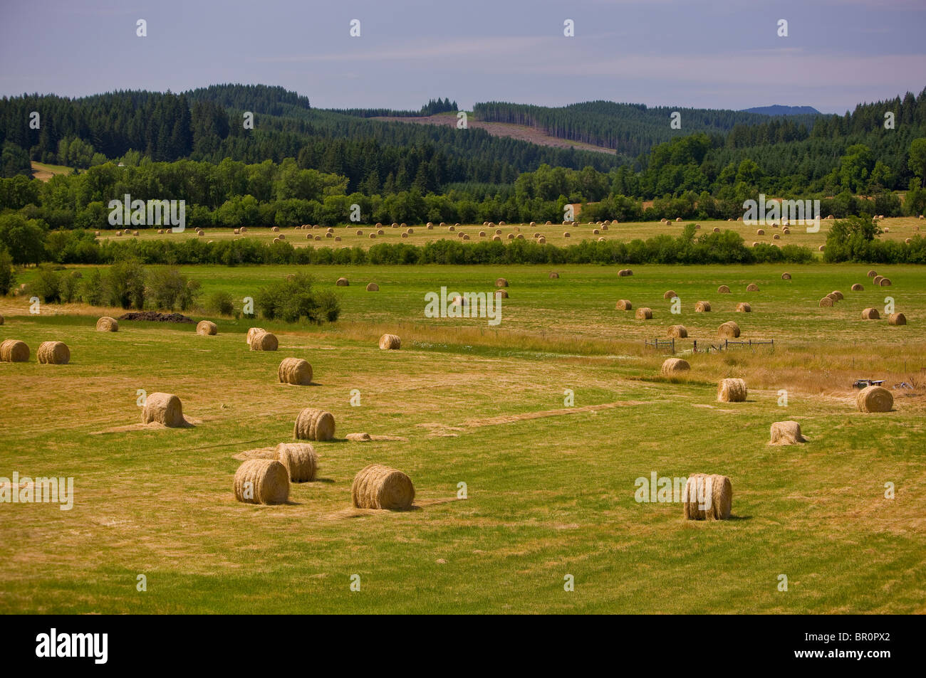 BLODGETT, OREGON, USA - Rundballen Heu im Feld, Bauernhof Stockfoto