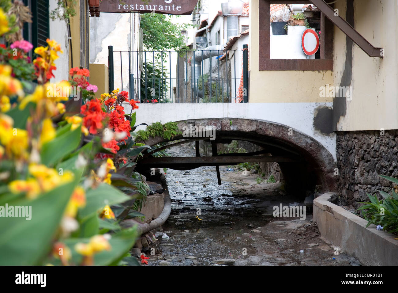 Kleinen Kanal in Funchal - Madeira Stockfoto