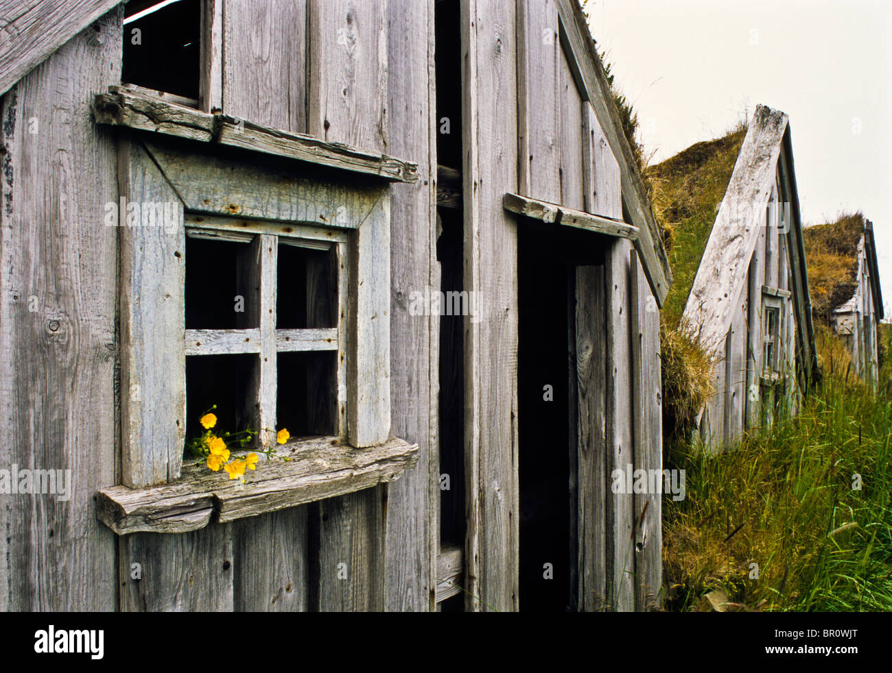 Close up vintage Replica des Isländischen sod, alte Rasen dach haus, für einen Film im Osten von Island, Europa, abstrakte Isländische außen gesetzt Stockfoto