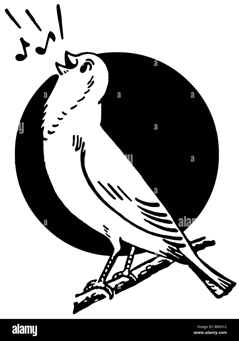 Eine schwarz-weiß Version von ein Vogel auf einem Baum Zweig singen befindet sich vor der Sonne Stockfoto