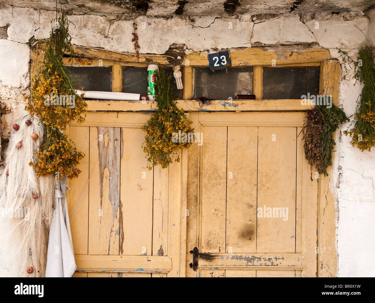 Kamille, hängen in der Tür ein Fischerhaus am Psarades am Prespa-See, Mazedonien, Nordgriechenland. Stockfoto