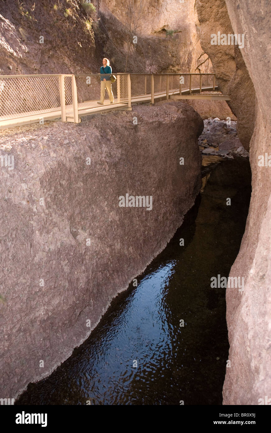 Frau zu Fuß entlang der Laufsteg Trail, Gila National Forest, New Mexico. Stockfoto