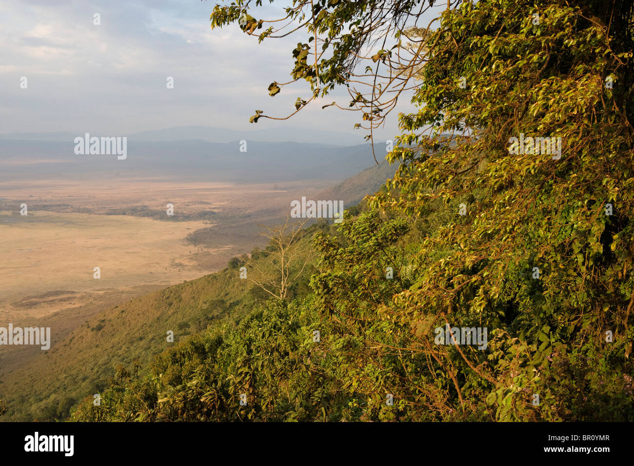 Helden zeigen, Blick vom Kraterrand des Ngorongoro Krater Stock, Ngorongoro Conservation Area, Tansania Stockfoto